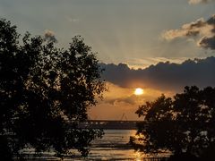 -宝安西湾红树林湿地公园