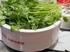 -龍歌自助小火锅(雨花台江南虹悦城店)