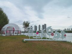 -长白岛森林公园