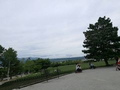 -富田农场