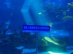 -上海海昌海洋公园