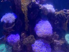 -南昌融创海世界