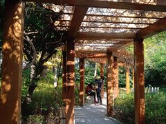 -徐家汇源景区-衡山公园