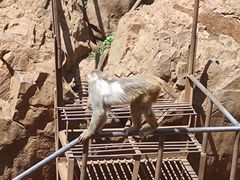 -昆明动物园