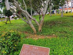 -毛公山瞻仰区售票处