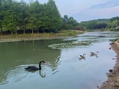 -WeLope紫金山探险公园