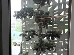 -香港狮子山下·明星粤菜餐厅(北苑店)