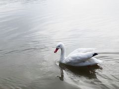 -宁波杭州湾国家湿地公园