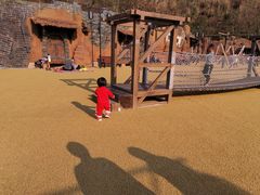 -枫香湖儿童公园