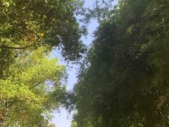 -重庆彩云湖湿地公园