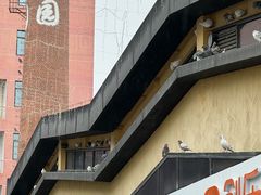 -萨卡屋亲子乐园·餐厅(龙山万物工场店)