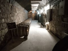 -青岛葡萄酒博物馆