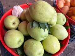 -云南木水花野生菌交易中心