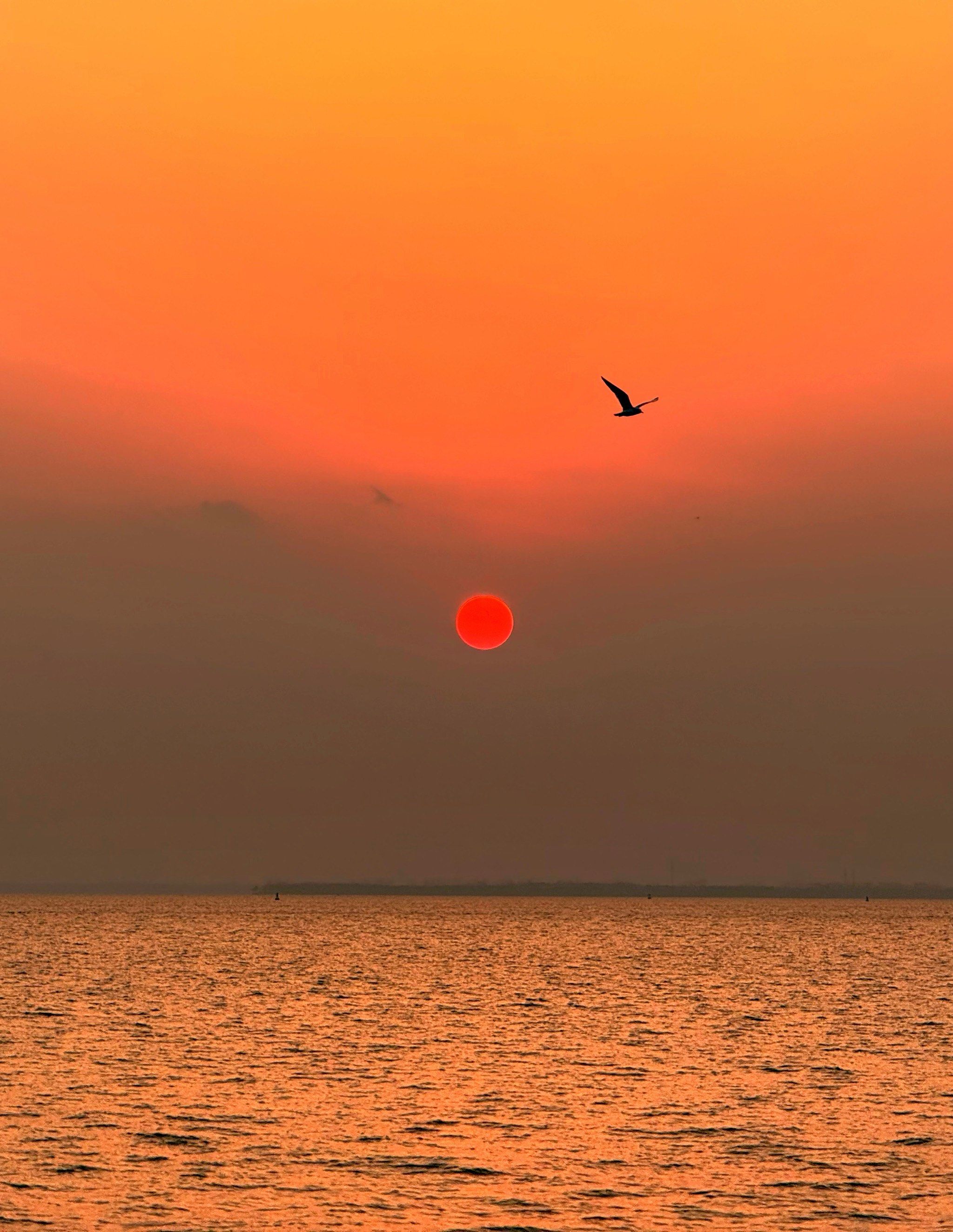 落霞与孤鹜齐飞,古人诚不欺我也