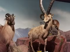 -陕西自然博物馆