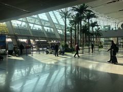 -合肥新桥国际机场-航站楼