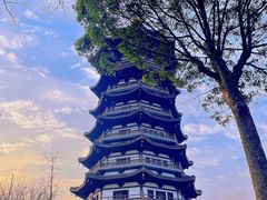 -洋湖国家湿地公园