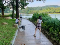 -南国桃园旅游度假区