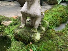 -植觉