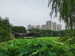 -高子水居
