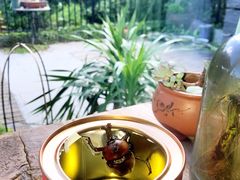 -东海大峡谷
