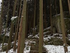 -山王坪喀斯特国家生态公园