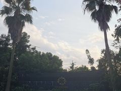 -THAI OASIS SPA 绿洲泰疗泰式按摩SPA