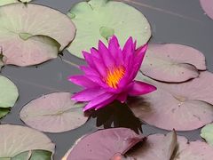 -国家植物园南园