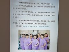 -北京观赏动物医院·24小时大型综合·猫专科·异宠专科