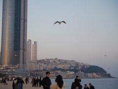 -海云台海滩
