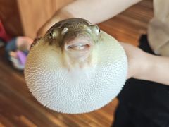 -永安鱼庄·镇江菜(丁卯店)