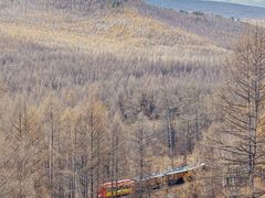 -莫尔道嘎国家森林公园