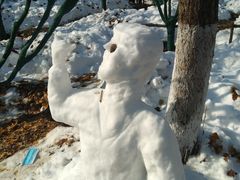 -长白岛森林公园