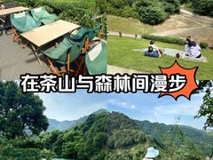 -午潮山国家森林公园