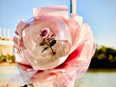 -海心沙亚运公园