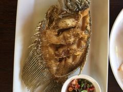 -Bamboo Bar & Grill Restaurant