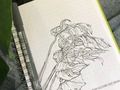 -COTTON CAFE(德信·中外公寓店)