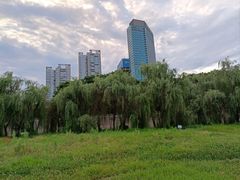-秋水广场