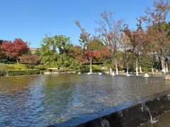 -太湖饭店·寄畅轩中餐厅