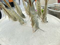 -牛天下·牛肉·海鲜·打边炉·融合菜
