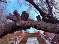 -水磨沟公园