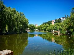 -三忘湖 SWANSEEN(柳荫公园店)