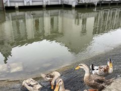 -雅和生态渔庄·宜城锅巴饭(龙灵山公园店)