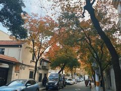 -上海安亭别墅花园酒店