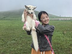-可汗山