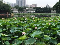 -荔湾湖公园