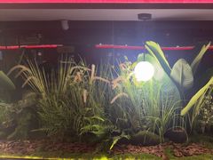 -沪小胖·小龙虾·蓝龙王(八佰伴店)