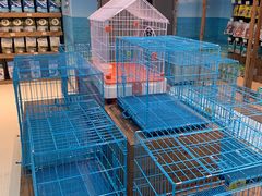 -龟与熊猫宠物公园(南坪店)