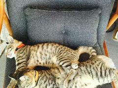 无舍度假酒店-大理无舍度假酒店