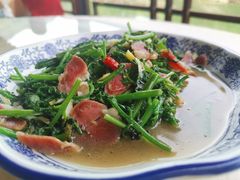 山蕨菜腊肉-瑶河山里菜